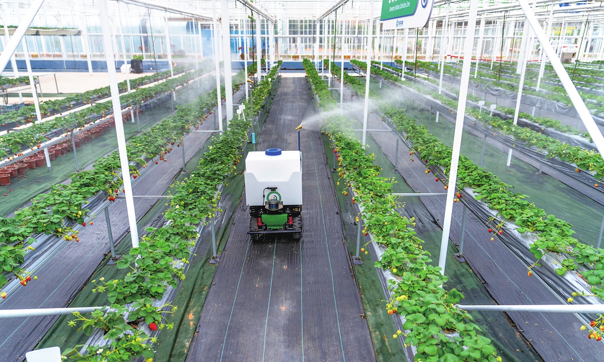 An intelligent spraying machine operates at a vegetable agriculture-mechanization integration demonstration base of the Shuanglong Laboratory in Changshan Township, Jinhua, East China's Zhejiang Province, on March 17, 2026. The laboratory, the first prefecture-level comprehensive agricultural lab in Zhejiang, focuses on three frontier areas: biobreeding, modern agricultural machinery, and smart agriculture. Photo: VCG
