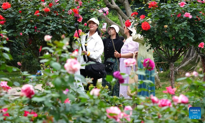 People enjoy Rosa Chinensis blossoms at Nanhu park in Nanning City, south China's Guangxi Zhuang Autonomous Region, March 27, 2026. (Xinhua/Zhou Hua)

