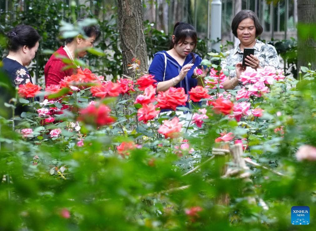 People enjoy Rosa Chinensis blossoms at Nanhu park in Nanning City, south China's Guangxi Zhuang Autonomous Region, March 27, 2026. (Xinhua/Zhou Hua)


