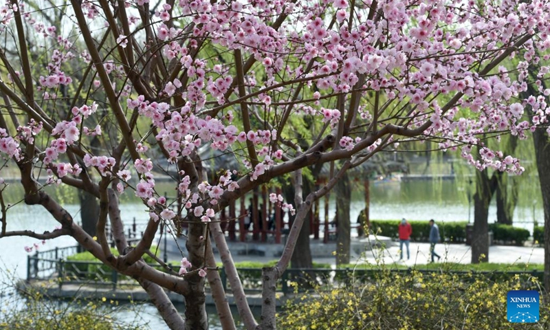 Tourists enjoy the scenery at Taoranting Park in Xicheng District in Beijing, capital of China, on March 27, 2026. (Xinhua/Luo Xiaoguang)


