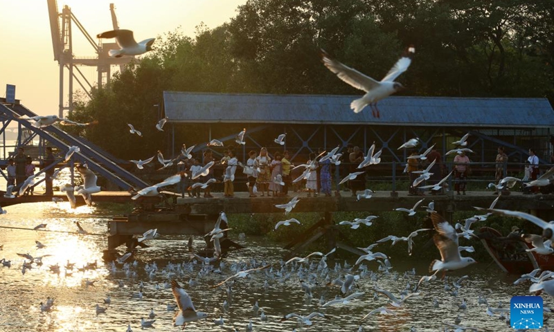 People feed seagulls near a jetty along the Yangon River in Yangon, Myanmar, March. 23, 2026. (Xinhua/Myo Kyaw Soe)

