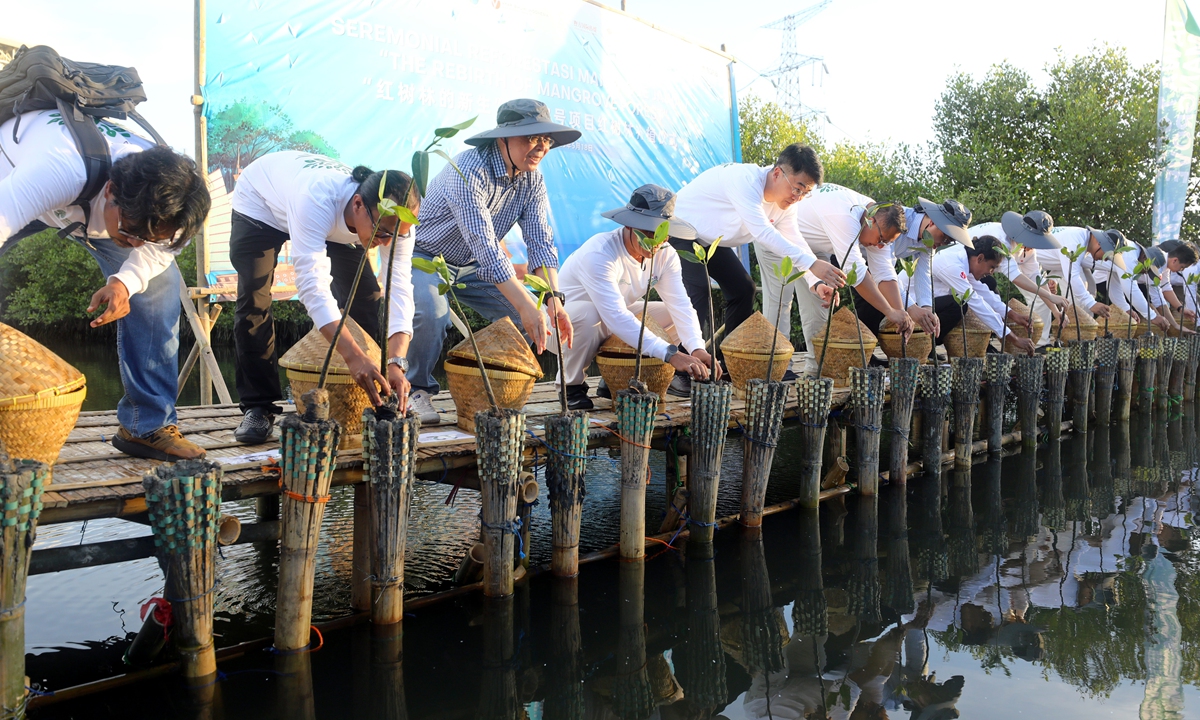 Employees of a Chinese enterprise take part in a mangrove conservation and planting activity in Banten Province, Indonesia, on May 18, 2025. Photo: VCG