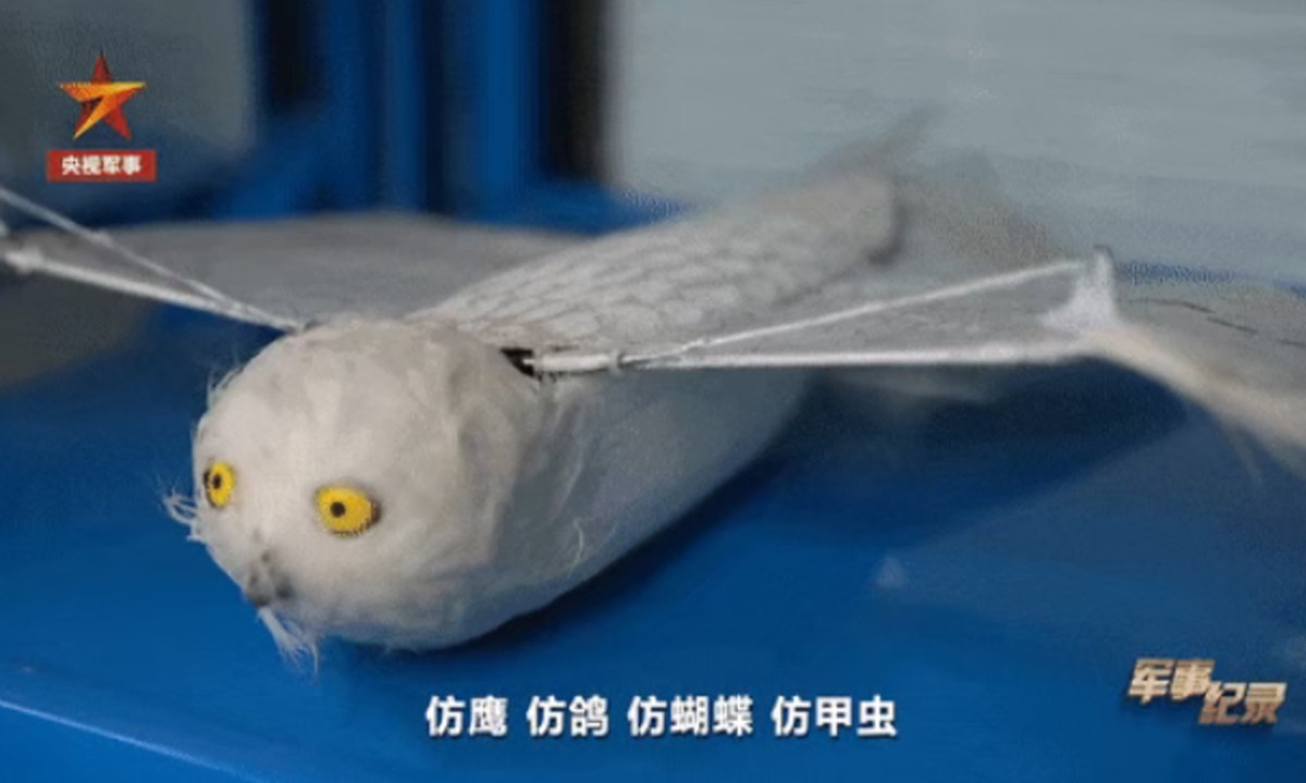 Screenshot of the eagle-inspired flapping-wing drone Photo: CCTV Military Program