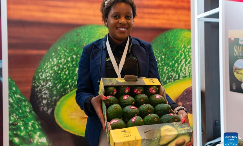 An exhibitor displays local-produced avocados at the exhibition of the China-Kenya Business Forum held in Nairobi, Kenya, March 23, 2026. (Xinhua/Xie Jianfei)
