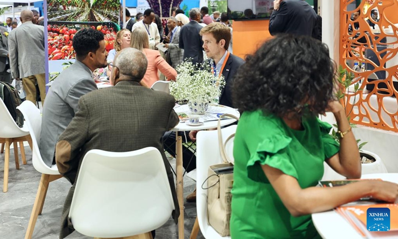 People communicate during the 10th edition of the International Floriculture and Horticulture Trade Fair in Addis Ababa, Ethiopia, March 24, 2026. The 10th edition of the International Floriculture and Horticulture Trade Fair kicked off on Tuesday in Addis Ababa, the capital of Ethiopia, with a call to boost the export of horticultural products. (Xinhua/Geng Xinning)

