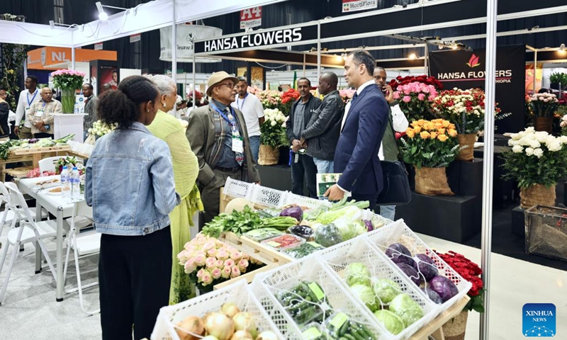 People communicate during the 10th edition of the International Floriculture and Horticulture Trade Fair in Addis Ababa, Ethiopia, March 24, 2026. The 10th edition of the International Floriculture and Horticulture Trade Fair kicked off on Tuesday in Addis Ababa, the capital of Ethiopia, with a call to boost the export of horticultural products. (Xinhua/Geng Xinning)

