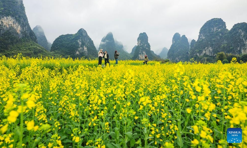 Tourists enjoy the scenery among rapeseed flowers in Zhemu Town, Yanshan District of Guilin, south China's Guangxi Zhuang Autonomous Region, March 24, 2026. (Photo by Liu Jiaoqing/Xinhua)

