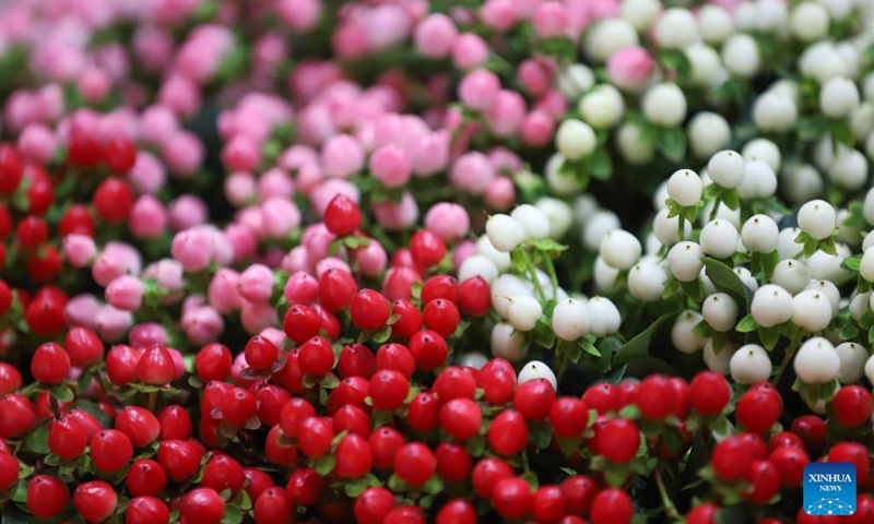 Exhibits are on display during the 10th edition of the International Floriculture and Horticulture Trade Fair in Addis Ababa, Ethiopia, March 24, 2026. The 10th edition of the International Floriculture and Horticulture Trade Fair kicked off on Tuesday in Addis Ababa, the capital of Ethiopia, with a call to boost the export of horticultural products. (Photo by Michael Tewelde/Xinhua)

