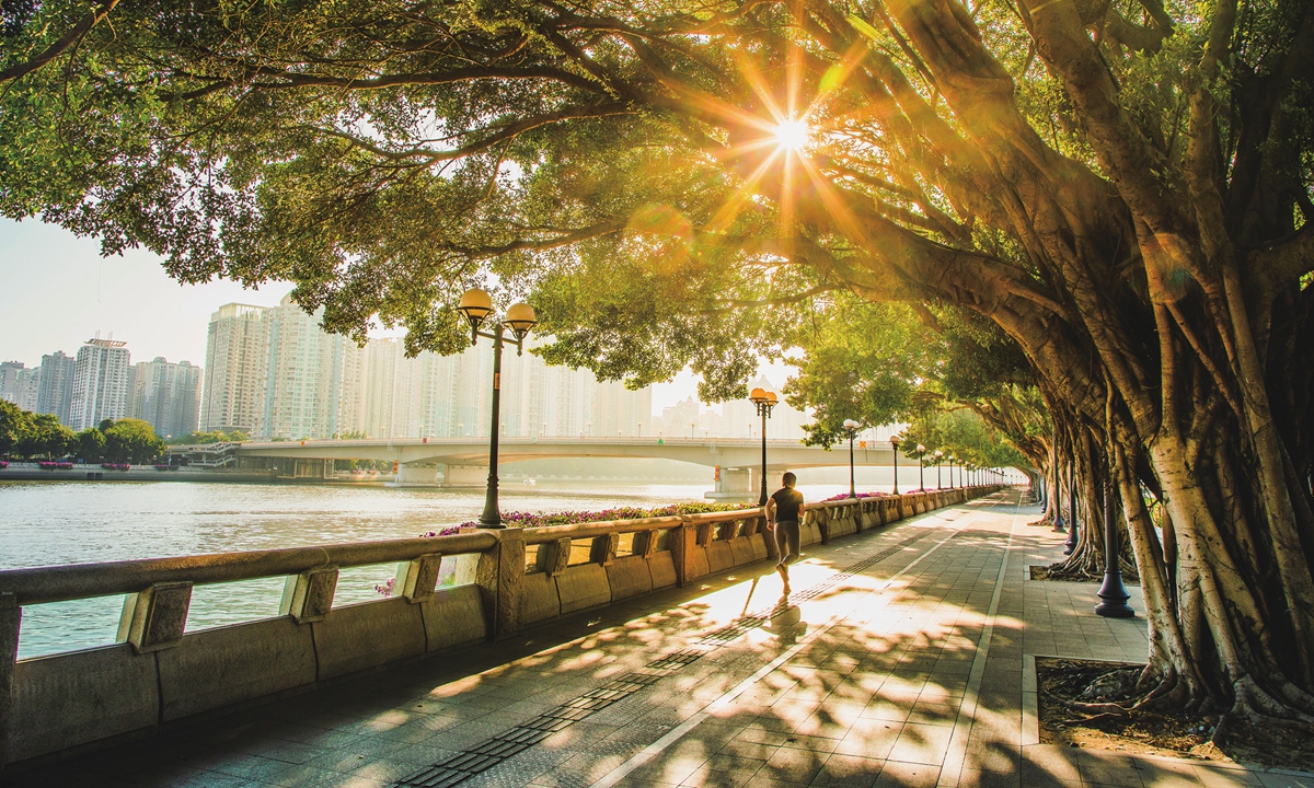 A photo captures a person jogging by a river on a sunny day. Photo: VCG