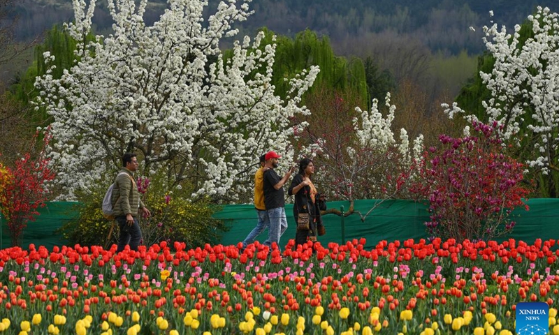 Tourists stroll through a blooming tulip garden in Srinagar, the summer capital of Indian-controlled Kashmir, March 25, 2026. (Xinhua/Javed Dar)

