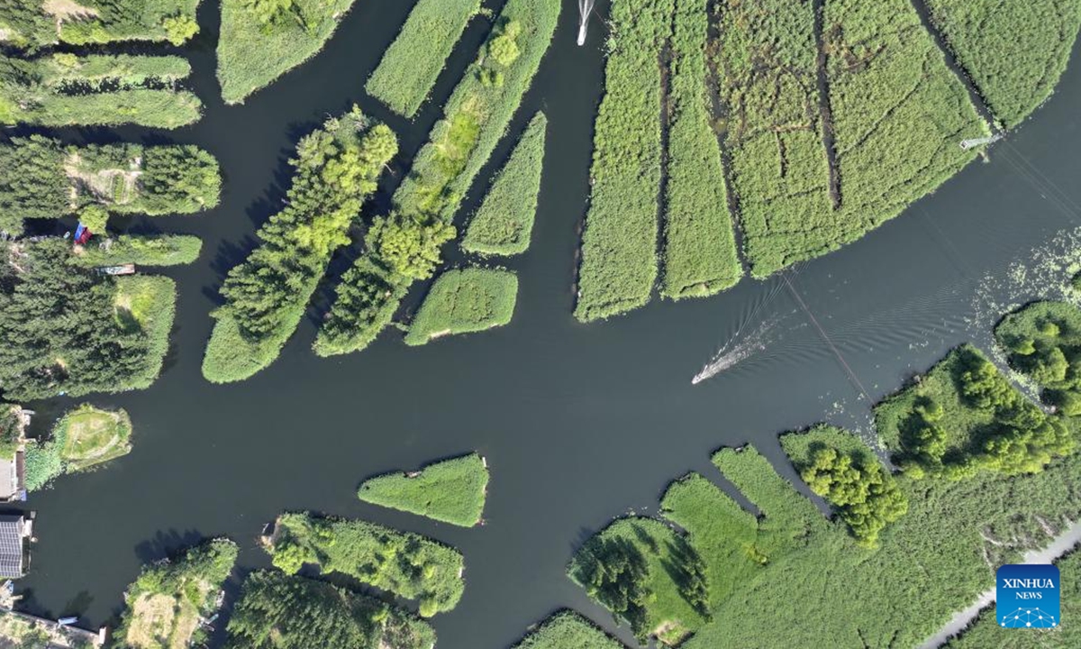 An aerial drone photo taken on June 11, 2025 shows boats sailing on Baiyangdian Lake, Xiongan New Area of north China's Hebei Province. Since the founding of Xiongan New Area, the water quality of Baiyangdian Lake has been greatly improved thanks to the systematic ecological governance. (Xinhua/Mu Yu)
