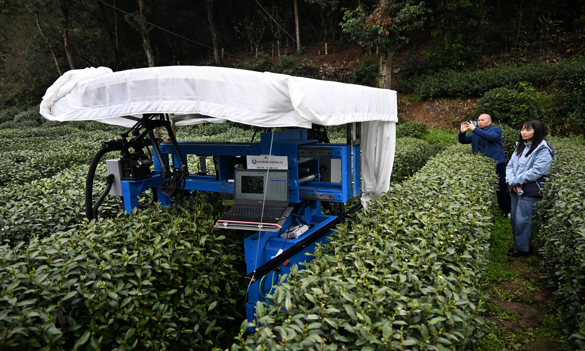 A tea-picking robot attracts visitors at a Longjing tea garden in Hangzhou, East China's Zhejiang Province, March 27, 2026. As West Lake pre-Qingming Longjing tea enters its harvest season, the district has deployed AI tea-picking robots. Photo: VCG