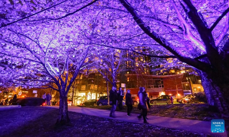 People view illuminated cherry blossom trees during the Blossoms After Dark event at David Lam Park in Vancouver, British Columbia, Canada, on March 27, 2026. The two-night free outdoor event features illuminated cherry blossoms, performances, food vendors and interactive activities. (Photo by Liang Sen/Xinhua)