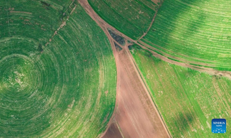 An aerial drone photo taken on March 27, 2026 shows circular fields in the suburb of Johannesburg, South Africa. (Xinhua/Chen Wei)