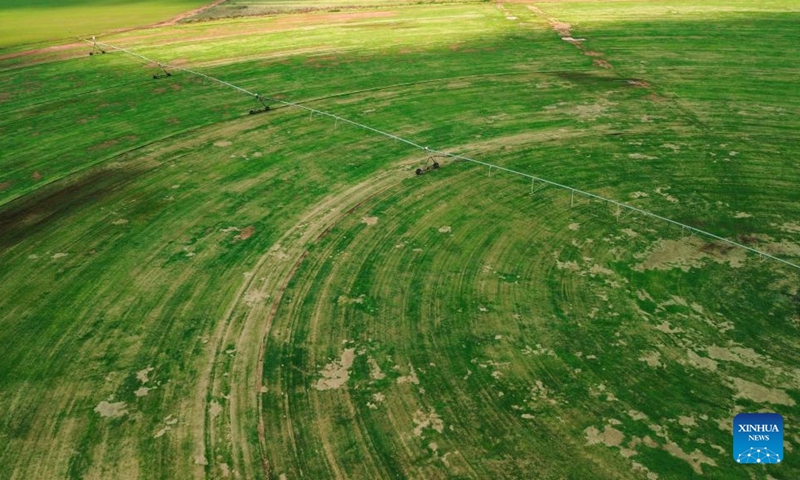 An aerial drone photo taken on March 27, 2026 shows circular fields in the suburb of Johannesburg, South Africa. (Xinhua/Chen Wei)