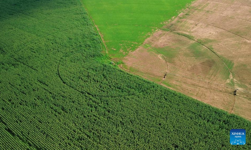 An aerial drone photo taken on March 27, 2026 shows circular fields in the suburb of Johannesburg, South Africa. (Xinhua/Chen Wei)