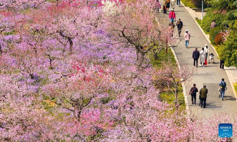 A drone photo taken on March 28, 2026 shows people visiting a park in Huai'an, east China's Jiangsu Province. (Photo by He Jinghua/Xinhua)