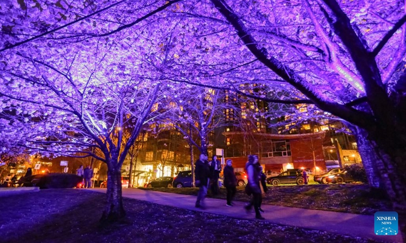 People stroll beneath illuminated cherry blossom trees during the Blossoms After Dark event at David Lam Park in Vancouver, British Columbia, Canada, on March 27, 2026. The two-night free outdoor event features illuminated cherry blossoms, performances, food vendors and interactive activities. (Photo by Liang Sen/Xinhua)