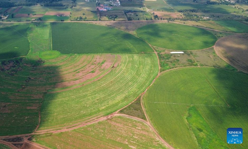 An aerial drone photo taken on March 27, 2026 shows circular fields in the suburb of Johannesburg, South Africa. (Xinhua/Chen Wei)