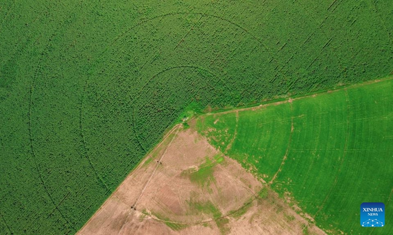 An aerial drone photo taken on March 27, 2026 shows circular fields in the suburb of Johannesburg, South Africa. (Xinhua/Chen Wei)