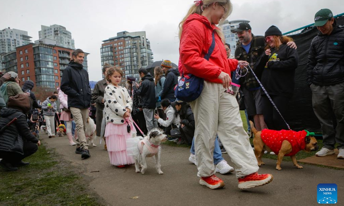 People and their dogs in costumes take part in a pet parade during the Vancouver Cherry Blossom Festival in Vancouver, British Columbia, Canada, on March 29, 2026. (Photo by Liang Sen/Xinhua)