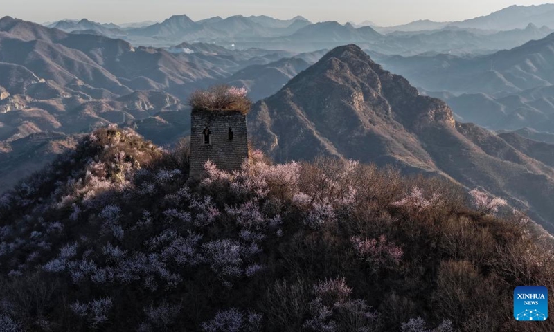 A drone photo taken on March 30, 2026 shows the spring scenery of the Great Wall in Qianxi County, north China's Hebei Province. (Photo by Liu Mancang/Xinhua)

