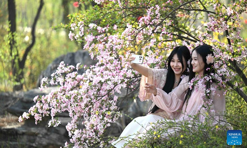 Tourists take selfies at a botanical garden in Shijiazhuang, north China's Hebei Province, March 31, 2026. (Photo by Chen Qibao/Xinhua)

