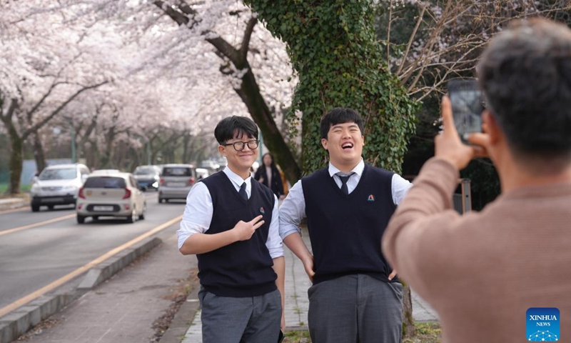 People pose for photos with cherry blossoms along a street near Jeju National University in Jeju Island, South Korea, on March 31, 2026. (Xinhua/Zhu Hui)

