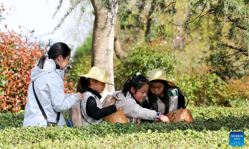 Children learn to pick tea leaves during the spring break in Huizhou District of Huangshan, east China's Anhui Province, April 1, 2026. As spring blossoms across China, primary and secondary school students in several regions are set for their first-ever spring break, which will see them heading beyond the classroom to travel and engage in a wide range of activities. (Photo by Fan Chengzhu/Xinhua)

