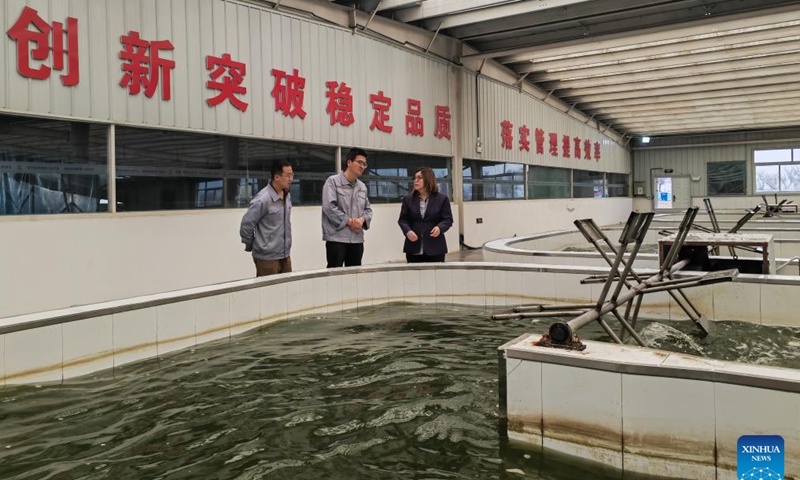 Pong Vui Mei (1st, R) checks the growth of spirulina at a production base of DXN Corporation (Ningxia) Co., Ltd. in Shizuishan, northwest China's Ningxia Hui Autonomous Region, March 27, 2026. (Xinhua/Liu Hai)

