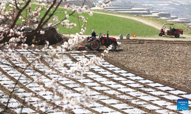 A farmer operates farm machinery during spring plowing in a field of Mali Town, Wushan County, Tianshui City, northwest China's Gansu Province, April 1, 2026. (Photo by Wang Kexian/Xinhua)

