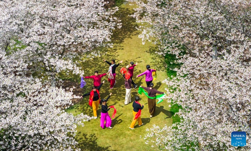 An aerial drone photo taken on April 1, 2026 shows visitors having fun under the blooming cherry trees at a botanical garden in Ningbo, east China's Zhejiang Province. Spring flowers are blooming across the country, attracting people to enjoy outings and flower viewing. (Photo by Hu Xuejun/Xinhua)

