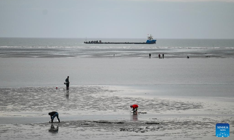 People are seen on the tidal flats in Qidong City under Nantong, east China's Jiangsu Province, Nov. 9, 2024. In recent years, Nantong has scaled up efforts to improve the water conservancy system, coupled with its green development endeavors in river basins and seaside areas. (Xinhua/Ji Chunpeng)

