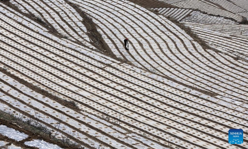 A farmer works in a field during spring plowing in a field of Mali Town, Wushan County, Tianshui City, northwest China's Gansu Province, April 1, 2026. (Photo by Wang Kexian/Xinhua)

