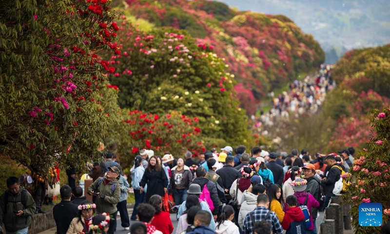Tourists visit an azalea scenic area in Bijie City, southwest China's Guizhou Province, April 1, 2026. The azaleas in Bijie are currently in full bloom, drawing crowds of visitors. (Xinhua/Liu Xu)