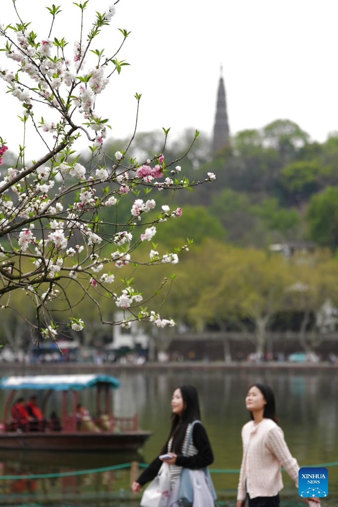 Tourists visit the West Lake scenic area in Hangzhou, east China's Zhejiang Province, April 2, 2026. Recently, West Lake in Hangzhou has been adorned with blooming peach trees and verdant willows, showing bright spring colors that attract crowds of visitors. (Xinhua/Huang Zongzhi)