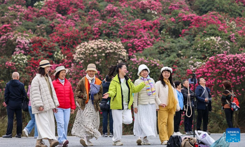 Tourists visit an azalea scenic area in Bijie City, southwest China's Guizhou Province, March 26, 2026. The azaleas in Bijie are currently in full bloom, drawing crowds of visitors. (Photo by Hu Panxue/Xinhua)