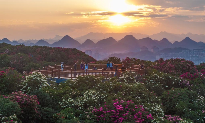 A drone photo shows tourists visiting an azalea scenic area in Bijie City, southwest China's Guizhou Province, March 29, 2026. The azaleas in Bijie are currently in full bloom, drawing crowds of visitors. (Photo by Li Hua/Xinhua)