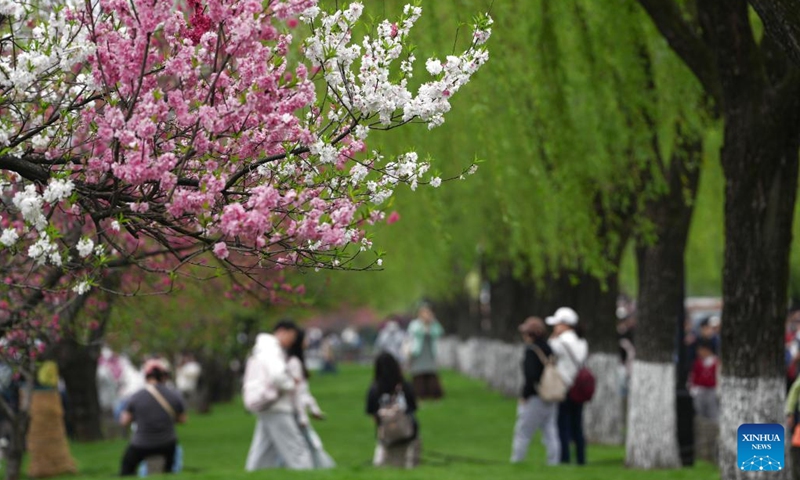 Tourists visit the West Lake scenic area in Hangzhou, east China's Zhejiang Province, April 2, 2026. Recently, West Lake in Hangzhou has been adorned with blooming peach trees and verdant willows, showing bright spring colors that attract crowds of visitors. (Xinhua/Huang Zongzhi)