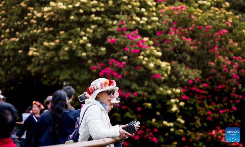 Tourists visit an azalea scenic area in Bijie City, southwest China's Guizhou Province, April 1, 2026. The azaleas in Bijie are currently in full bloom, drawing crowds of visitors. (Xinhua/Liu Xu)