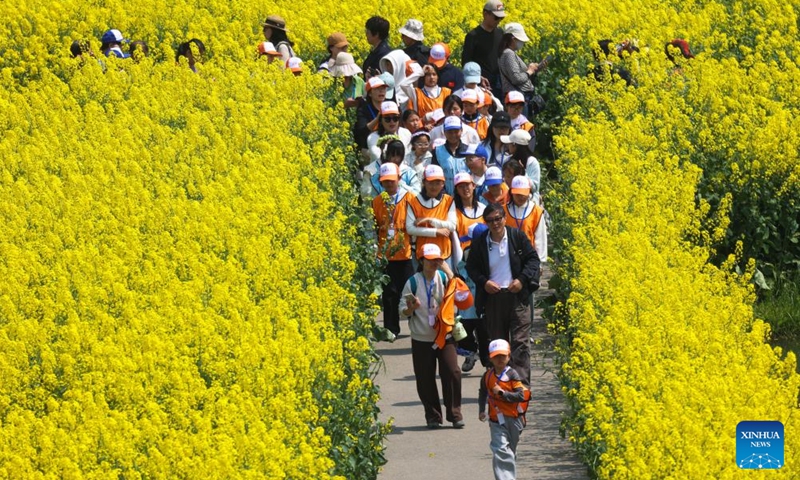 Students enjoy spring time among cole flowers at a scenic area in Xinghua City, east China's Jiangsu Province, April 2, 2026. (Photo by Shi Daozhi/Xinhua)