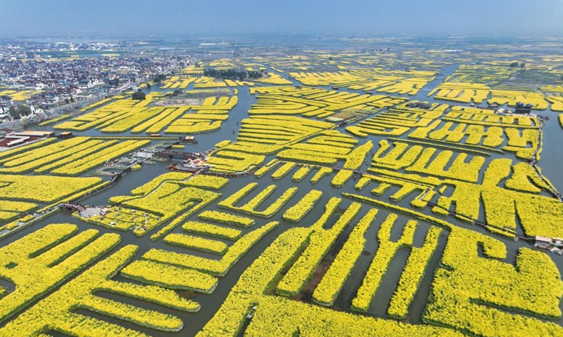 A drone photo taken on April 2, 2026 shows cole flowers at a scenic area in Xinghua City, east China's Jiangsu Province. (Photo by Shi Daozhi/Xinhua)