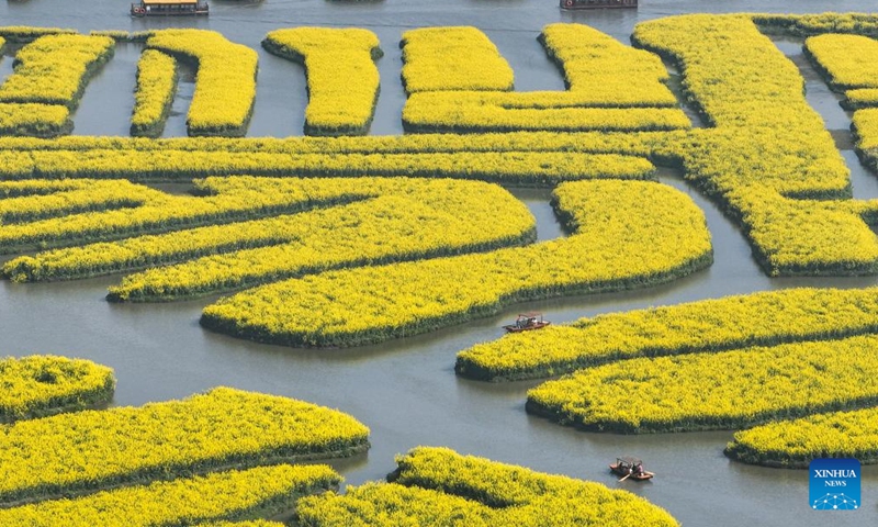 A drone photo taken on April 2, 2026 shows visitors taking boats to enjoy cole flowers at a scenic area in Xinghua City, east China's Jiangsu Province. (Photo by Shi Daozhi/Xinhua)