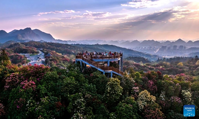 A drone photo shows tourists visiting an azalea scenic area in Bijie City, southwest China's Guizhou Province, March 29, 2026. The azaleas in Bijie are currently in full bloom, drawing crowds of visitors. (Photo by Fan Hui/Xinhua)

