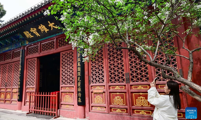 A tourist takes photos of blooming lilacs at Fayuan Temple in Beijing, capital of China, April 3, 2026. (Xinhua/Chen Yehua)