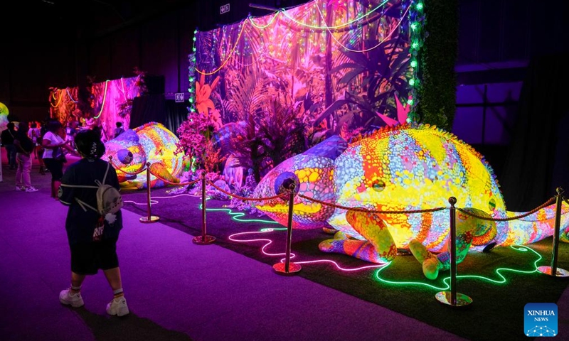 People visit the Rand Show 2026 in Johannesburg, South Africa, April 2, 2026. The Rand Show, an annual entertainment and shopping extravaganza in South Africa, is held from April 2 to 6 at the Johannesburg Expo Center. (Photo by Shiraaz Mohamed/Xinhua)