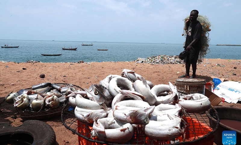 This photo taken on April 3, 2026 shows smoked fish on the beach in Abidjan, Cote d'Ivoire. Along the coastline of Abidjan, fishing is closely intertwined with local community life. (Photo by Yvan Sonh/Xinhua)