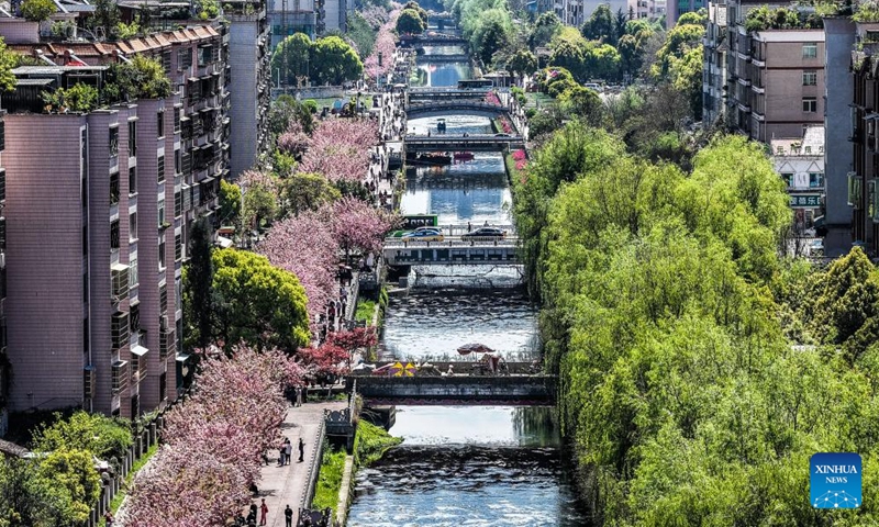 People pose for photos under cherry blossoms along the Shuicheng River in Liupanshui, southwest China's Guizhou Province, April 3, 2026. The cherry blossoms along the Shuicheng River in Liupanshui are in full bloom, attracting people for spring outings. In recent years, the city has leveraged its riverside cherry blossoms to expand the flower-viewing industry, unlocking market consumption potential with its natural landscapes. (Xinhua/Tao Liang)