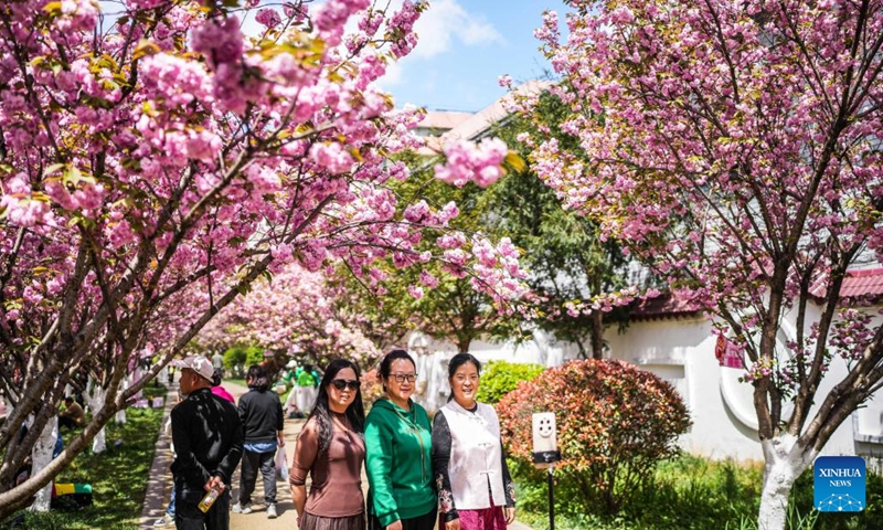 People pose for photos under cherry blossoms along the Shuicheng River in Liupanshui, southwest China's Guizhou Province, April 3, 2026. The cherry blossoms along the Shuicheng River in Liupanshui are in full bloom, attracting people for spring outings. In recent years, the city has leveraged its riverside cherry blossoms to expand the flower-viewing industry, unlocking market consumption potential with its natural landscapes. (Xinhua/Tao Liang)