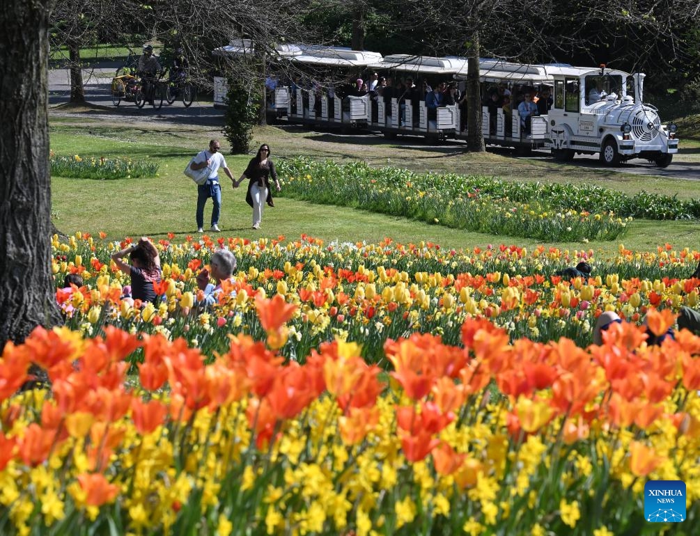 People enjoy blooming flowers at a park in Valeggio sul Mincio, Verona, Italy, April 4, 2026. (Photo by Alberto Lingria/Xinhua)